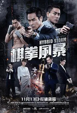 【剧情片】棋拳风暴粤语